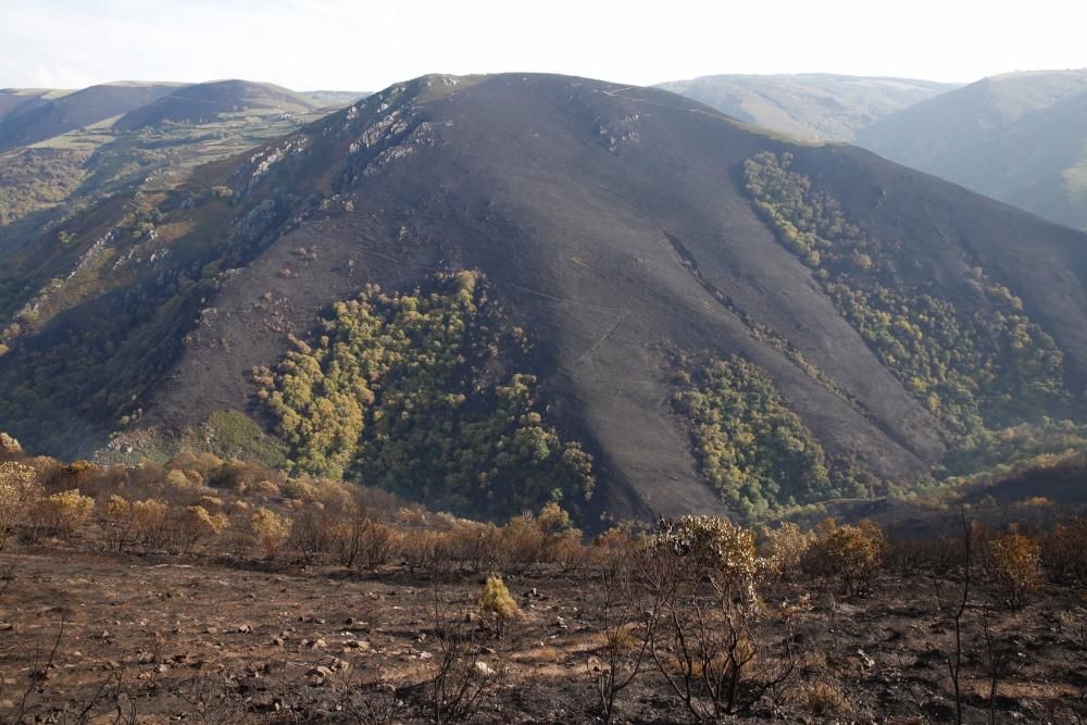 El Suroccidente asturiano arrasado por las llamas