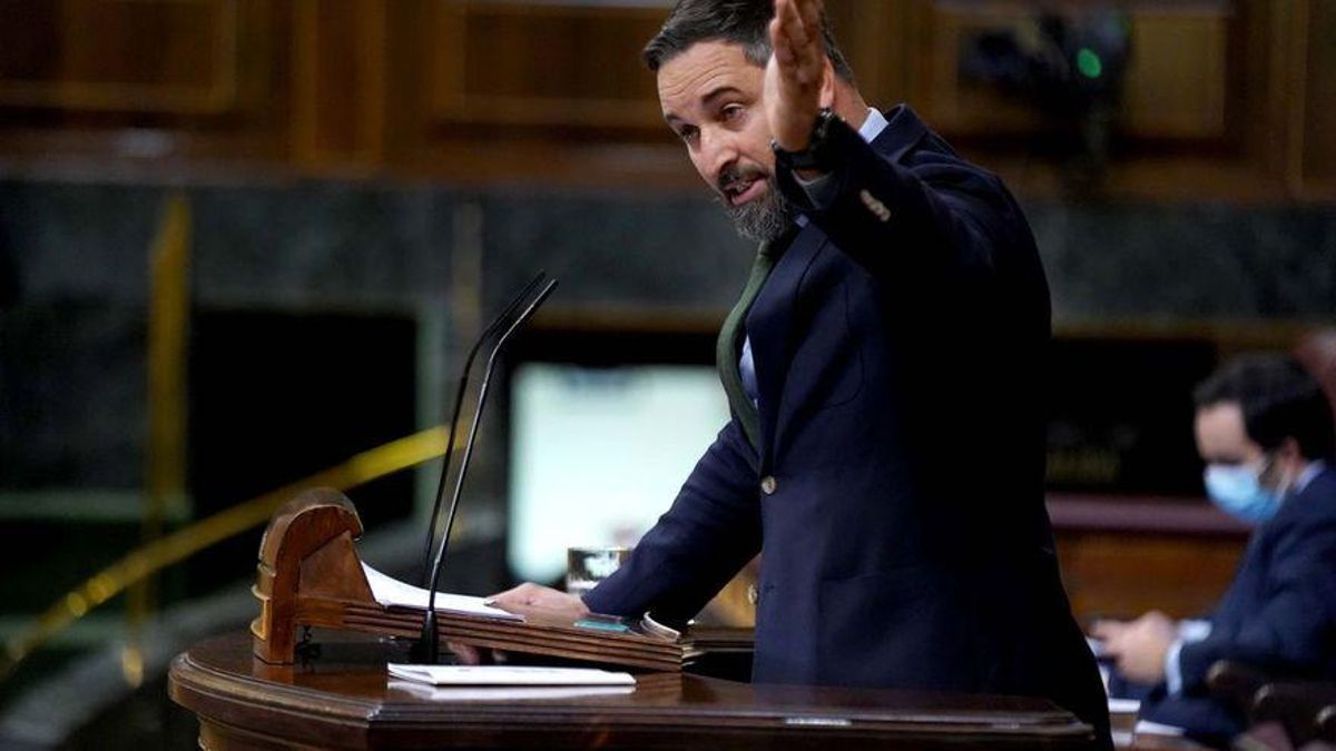 Santiago Abascal, en el Congreso.