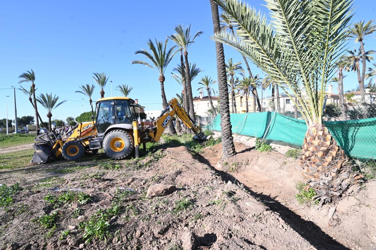 Una retroexcavadora durante los trabajos en l'Hort del Bosquet