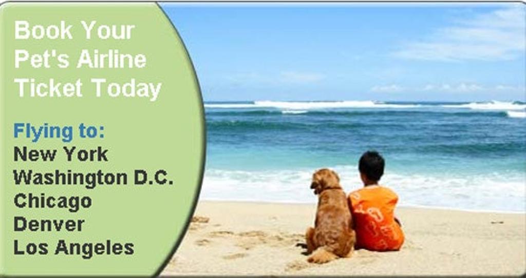 Nace PetAirways, una aerolínea sólo para mascotas