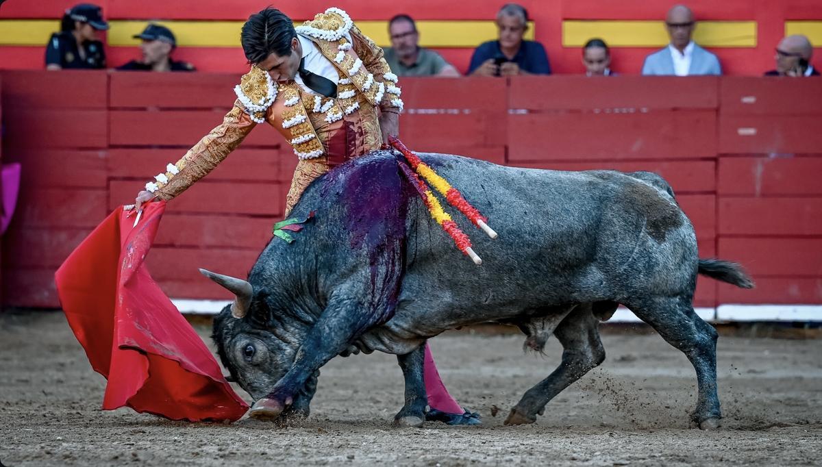 Brilló el regusto y la profundidad de los muletazos de Álvaro Lorenzo.