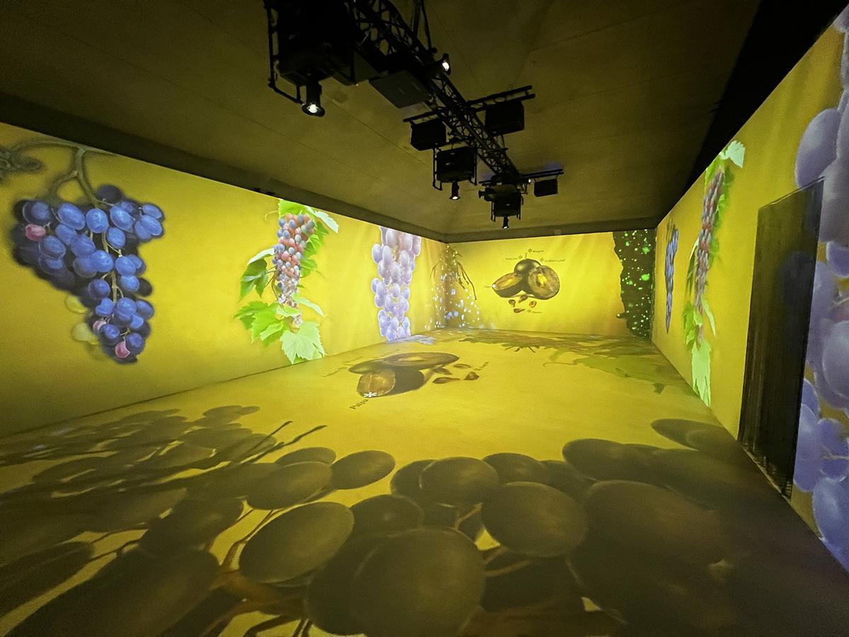 Experiencia inmersiva "Sumérgete en el Rioja”