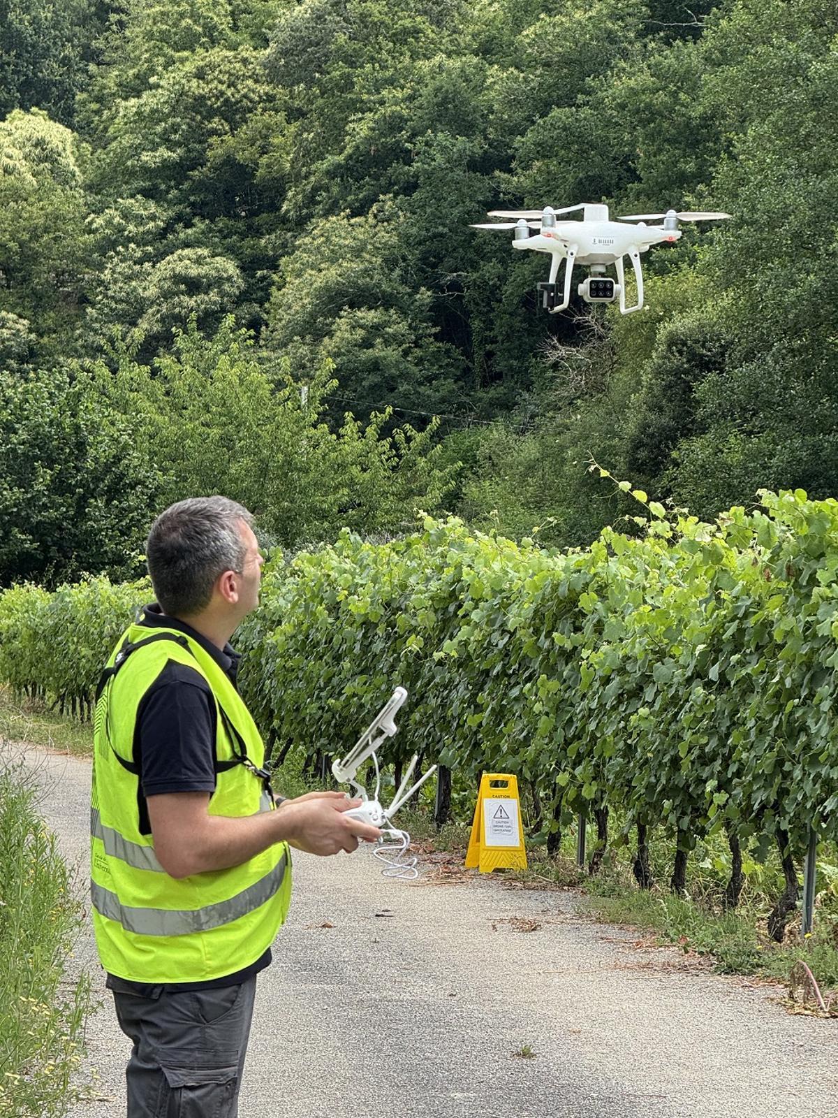 Los investigadores del grupo GeoTech utilizarán drones para caracterizar la biomasa.