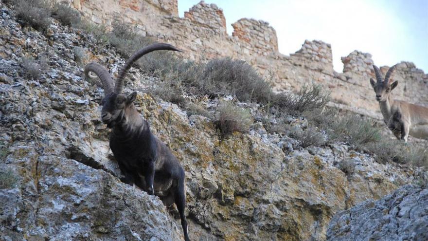 5 noticias para estar al día en Castellón