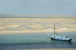 Mozambique: dos safaris en un mismo viaje, entre la sabana y los arrecifes del Índico