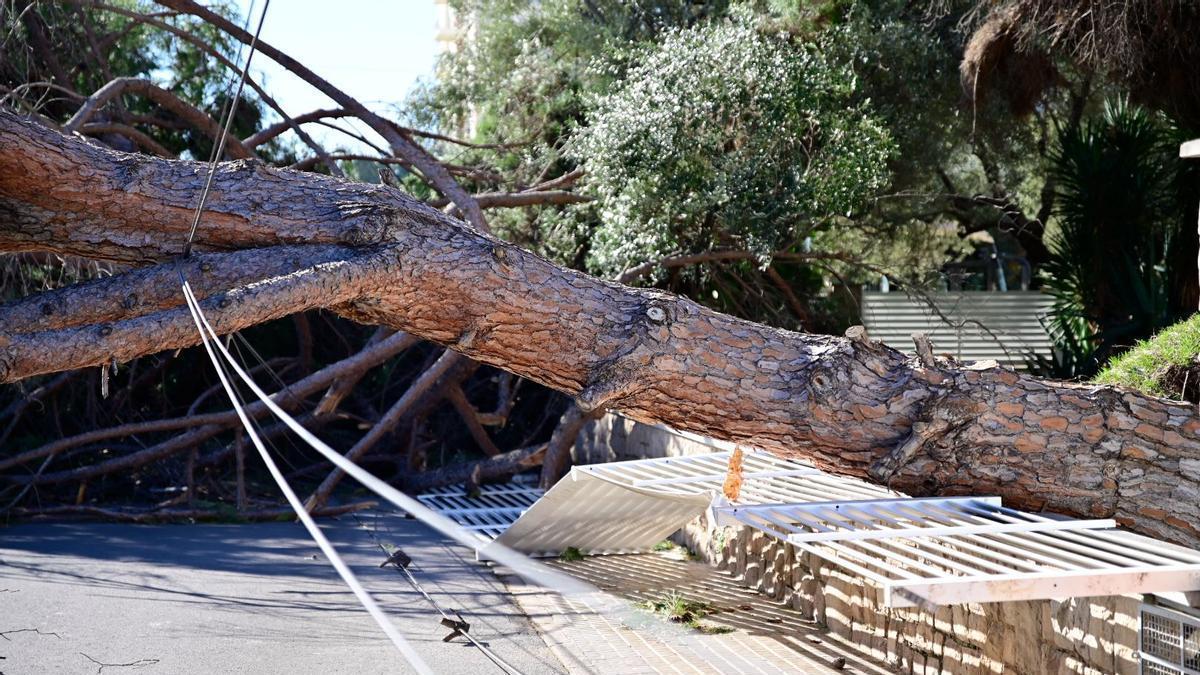 El canal oficial de los bomberos de Castellón insiste en tener precaución con el episodio de viento