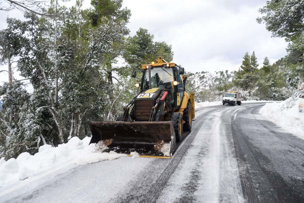 Der frühe Schnee hat am Samstag (2.12.) zahlreiche Insulaner in die Tramuntana gelockt, wo es die seltene Gelegenheit zu Schneeballschlachten oder zum Bau von Schneemännern gab.