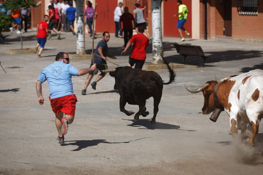 Espantes de Fuentesaúco