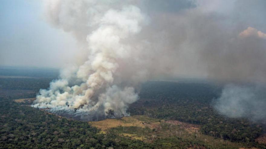 Uno de los numerosos incendios que calcinan los bosques tropicales de la Amazonia brasileña en el estado de Para.