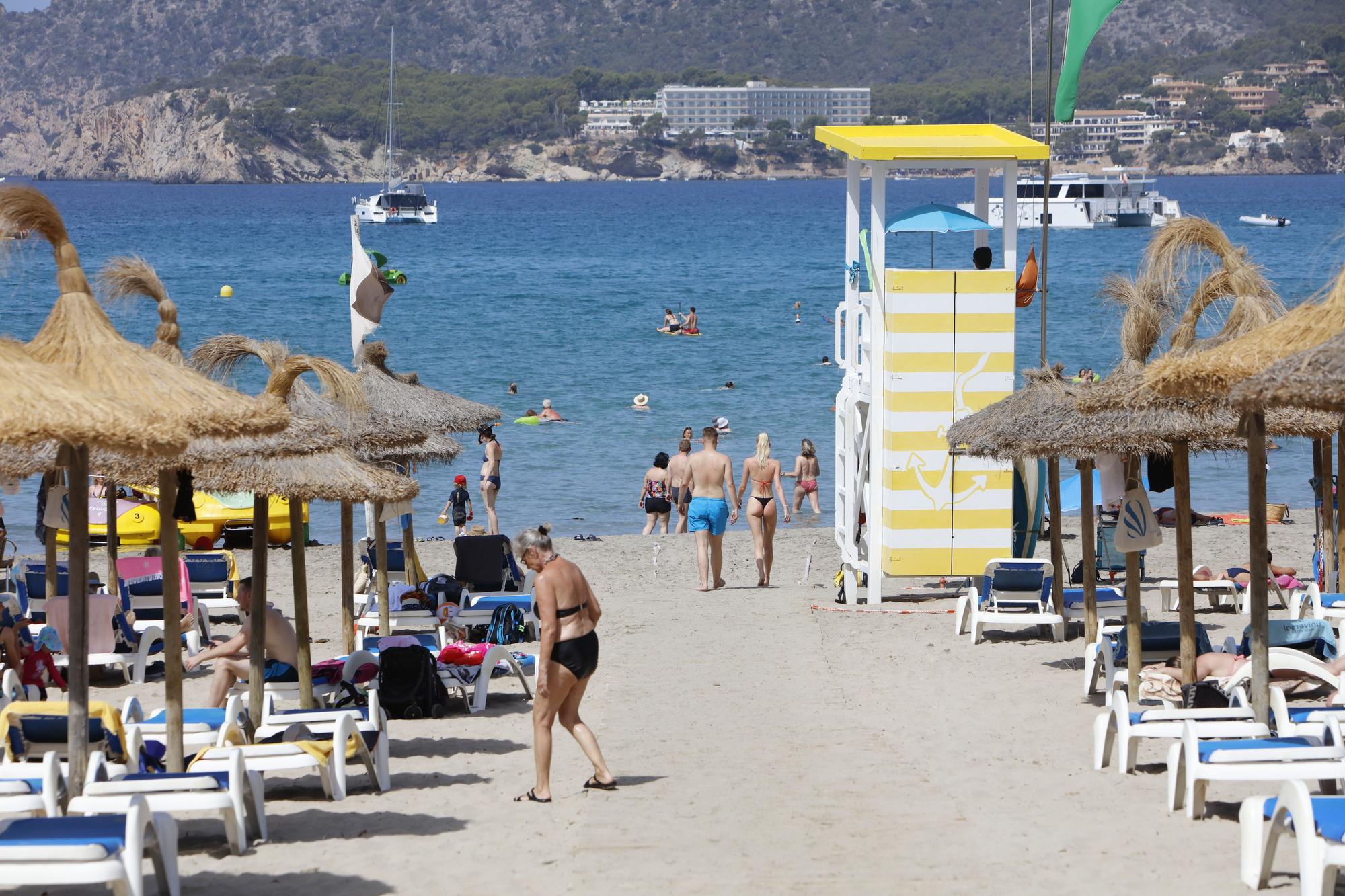 Sommer in Peguera: So genießen die Mallorca-Urlauber das Leben am beliebten Badestrand