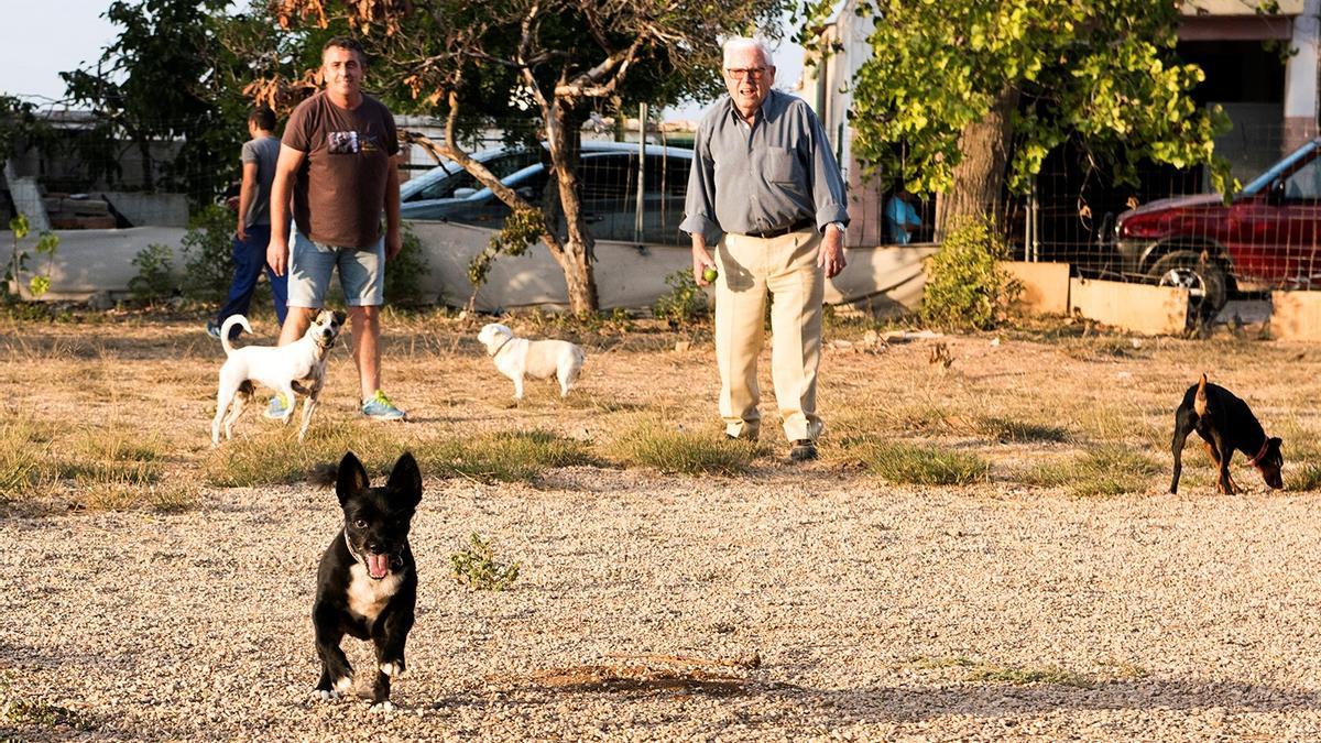 El Ayuntamiento de Almussafes acaba de modificar la ordenanza municipal reguladora de la tenencia, protección y venta de animales de compañía.