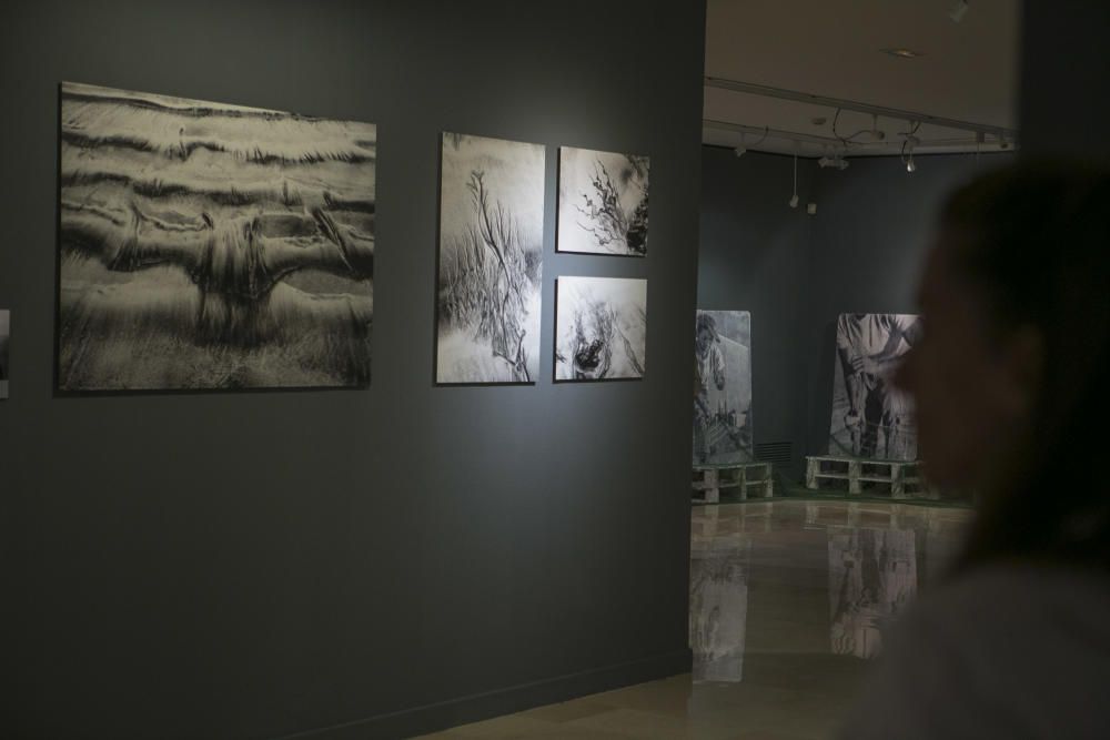 Imágenes de la exposición fotográfica En Plural en la Fundación Caja Mediterráneo