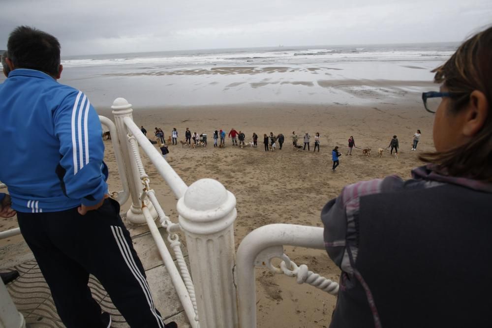 Concentración en la playa de Salinas para pedir el acceso para perros