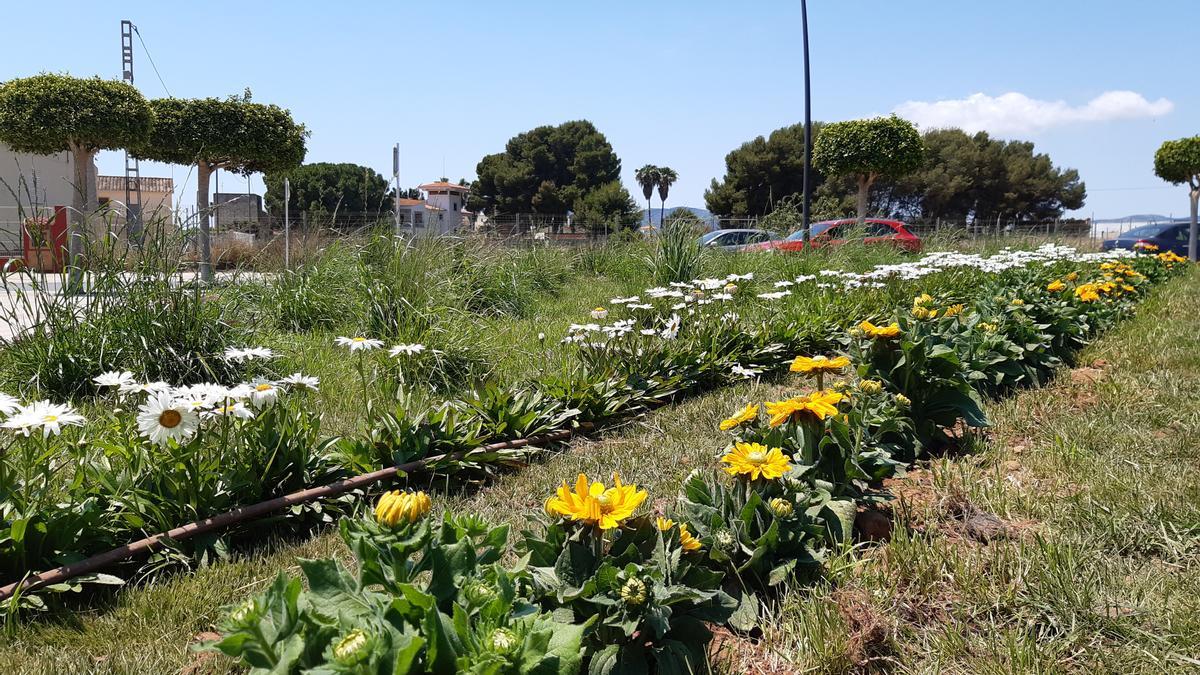 Los alumnos del taller de empleo se han encargado de la ornamentación floral.