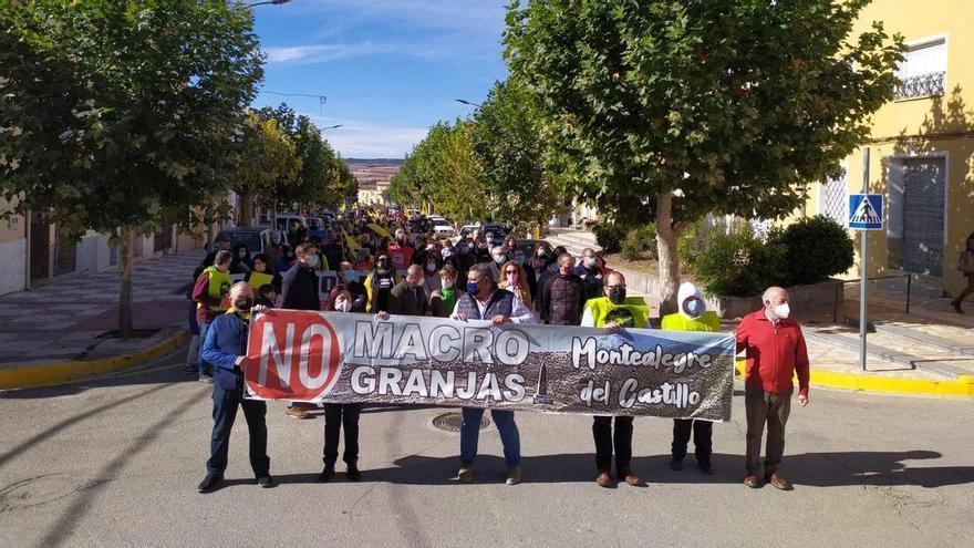 El Grupo Fuertes se queda sin licencia para su granja de 20.000 cerdos en el Monte Arabí