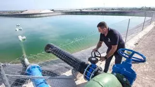 El Consell solicitará al Supremo la suspensión cautelar del recorte de agua del Tajo-Segura