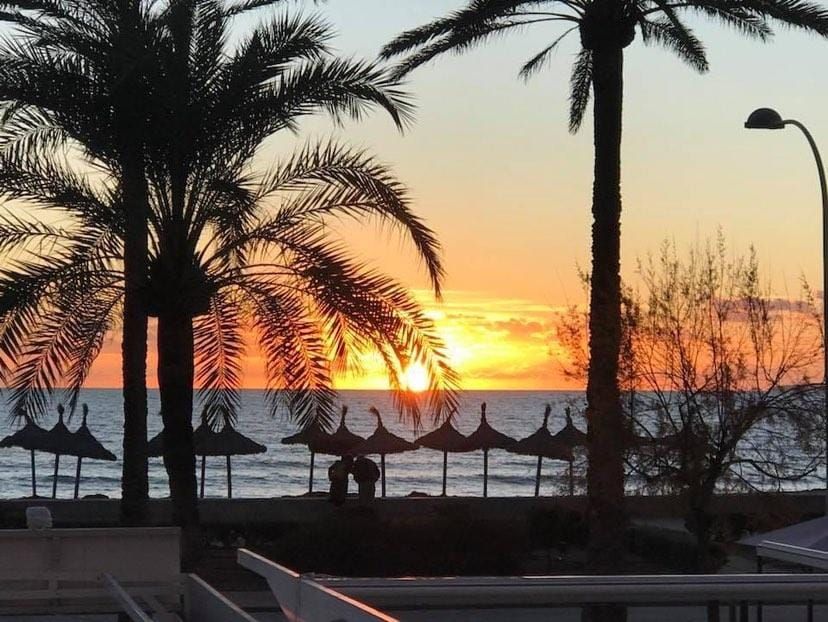 Fitness Oficial, Playa de Palma.jpeg