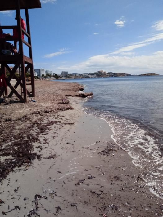 Zona de Platja d'en Bossa perteneciente a Vila