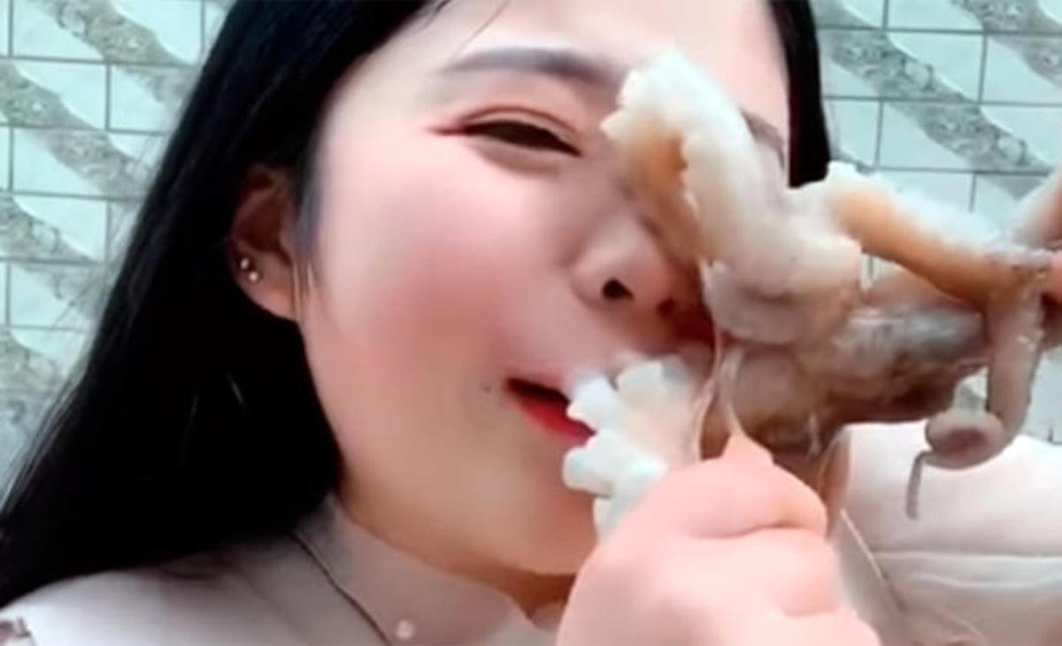 La bloguera que quiso comer un pulpo vivo y acabó escaldada