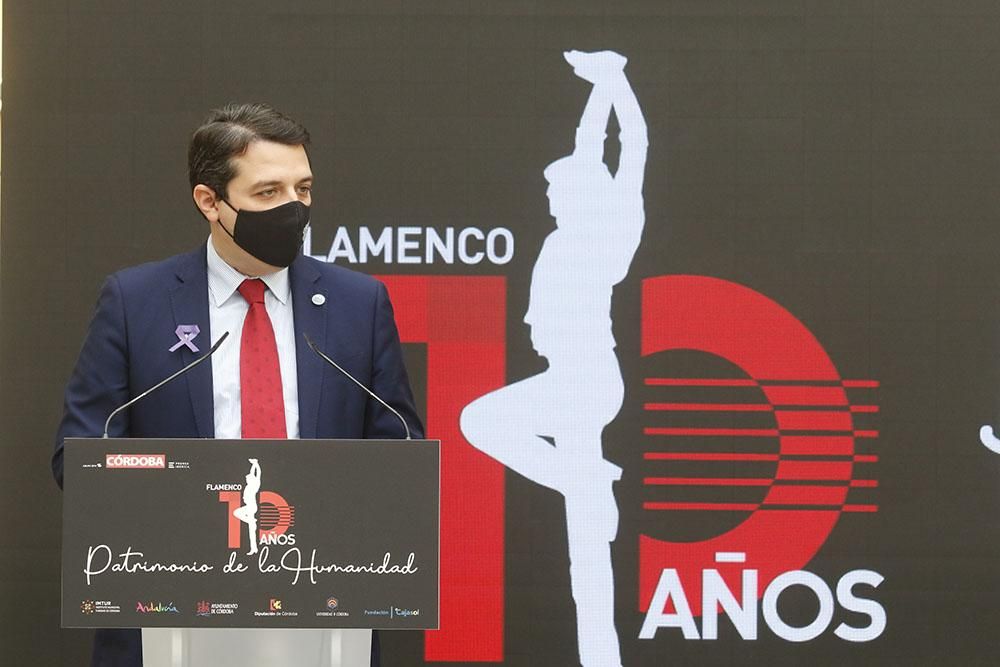 10º Aniversario de la declaración del flamenco como Patrimonio Universal