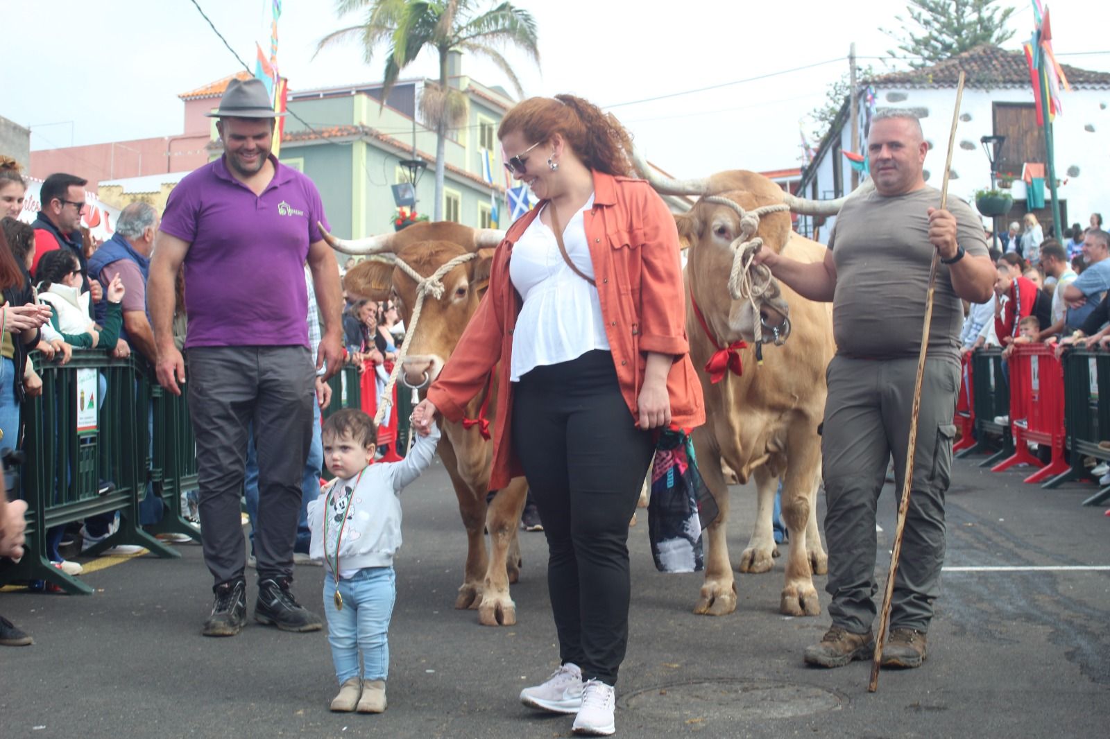 Romería de San Antonio Abad, en La Matanza
