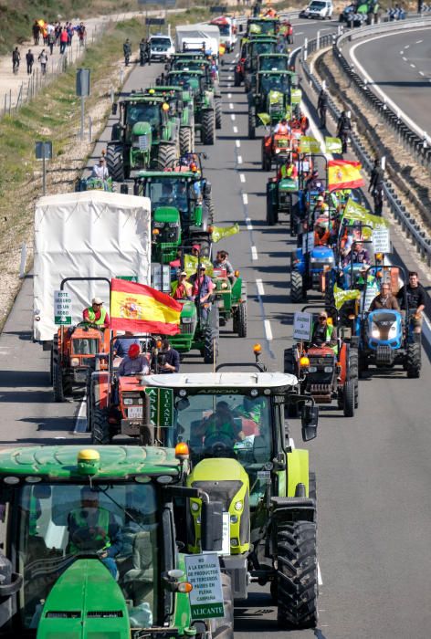 Tractorada en defensa del campo alicantino