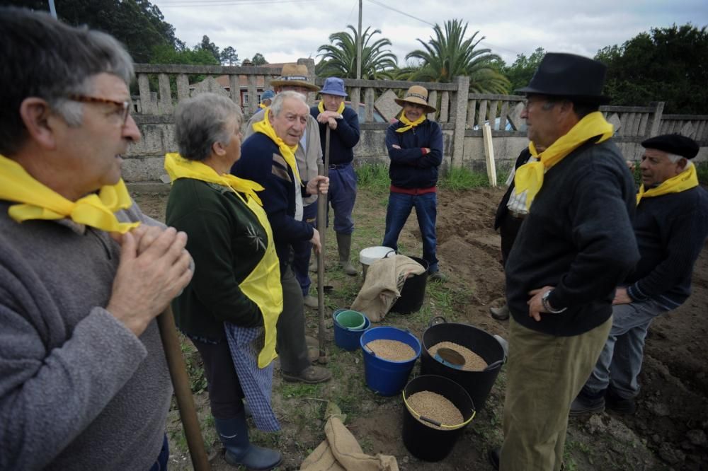 "Sementeira", una asignatura en Valga