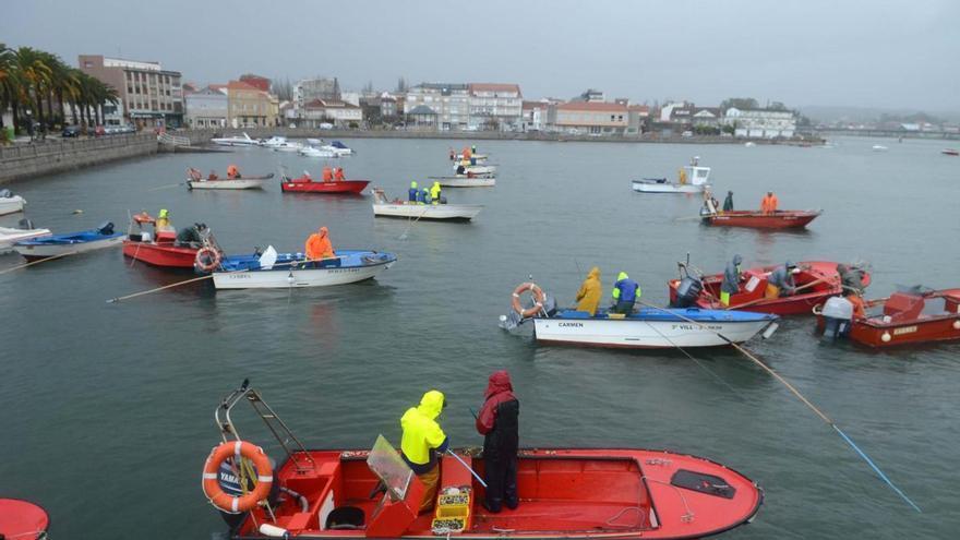 Los biólogos recomiendan paralizar la actividad de a flote en Vilanova hasta el mes de marzo de 2027