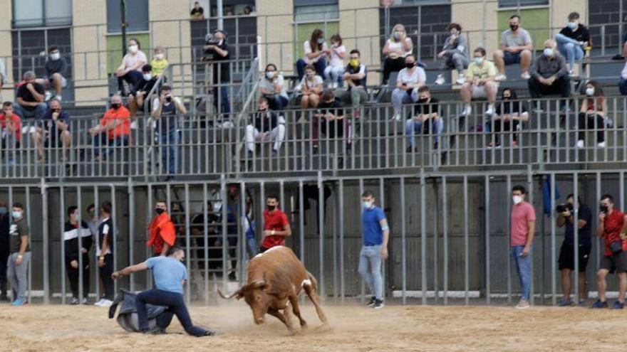 Vila-real defiende el ‘bou al carrer’ con una fiesta en clave localista