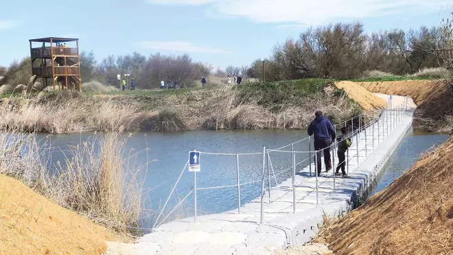 Aqualia: por la gestión eficiente del agua y el auxilio del planeta y de los ecosistemas