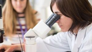 Catalunya llança un programa de ‘mentories feministes’
