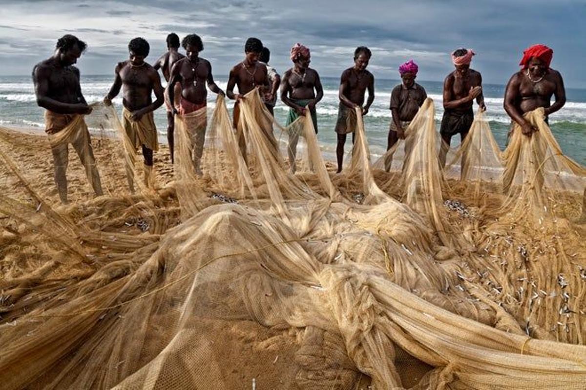 Hombres en hilera trabajando con las redes de pesca