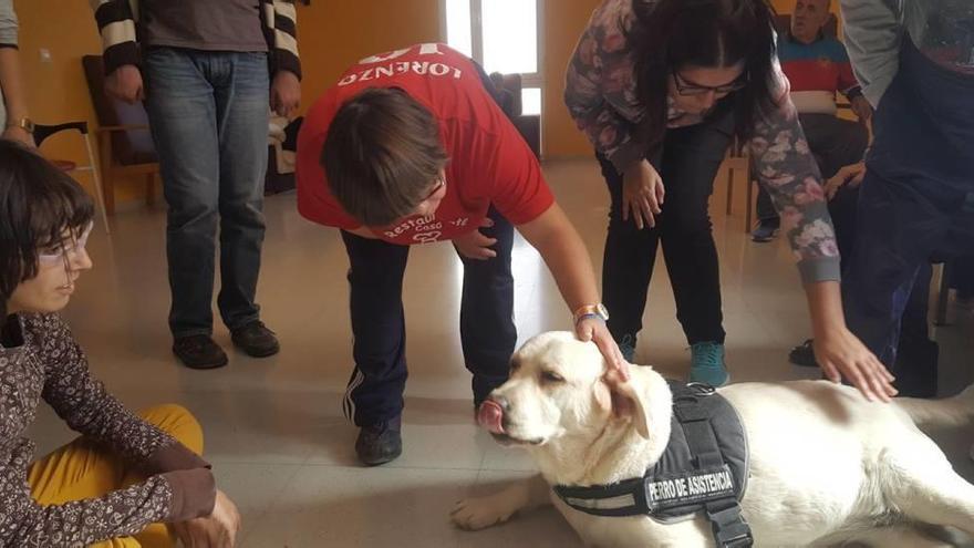 Varios jóvenes juegan con uno de los perros que participará en el programa.