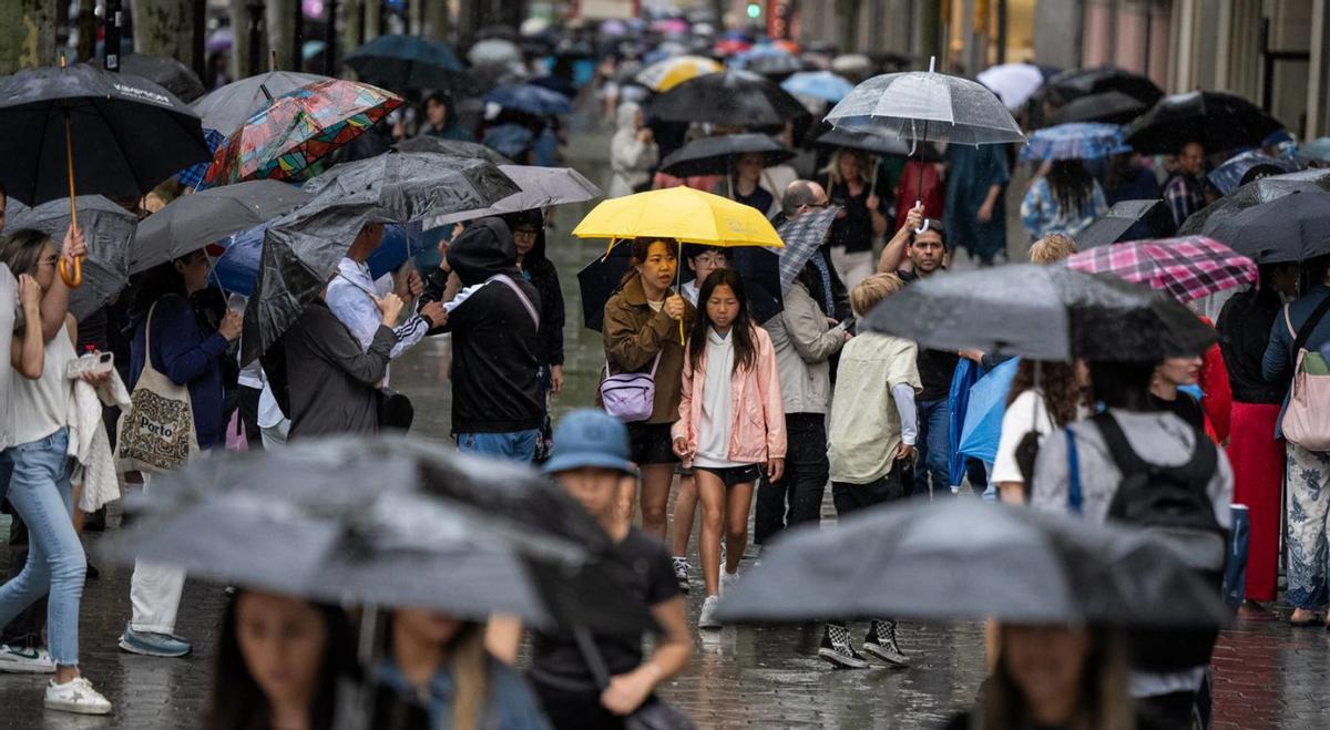 Una altra tardor més càlida que de costum i amb pluges incertes