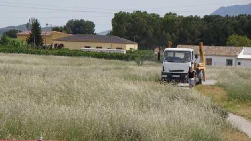 Una de las parcelas llenas de hierba junto al casco urbano de Villena.