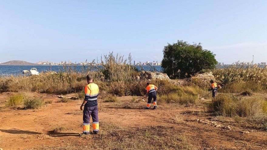 Litoral trabaja para poner en valor la fábrica de garum de Playa Honda