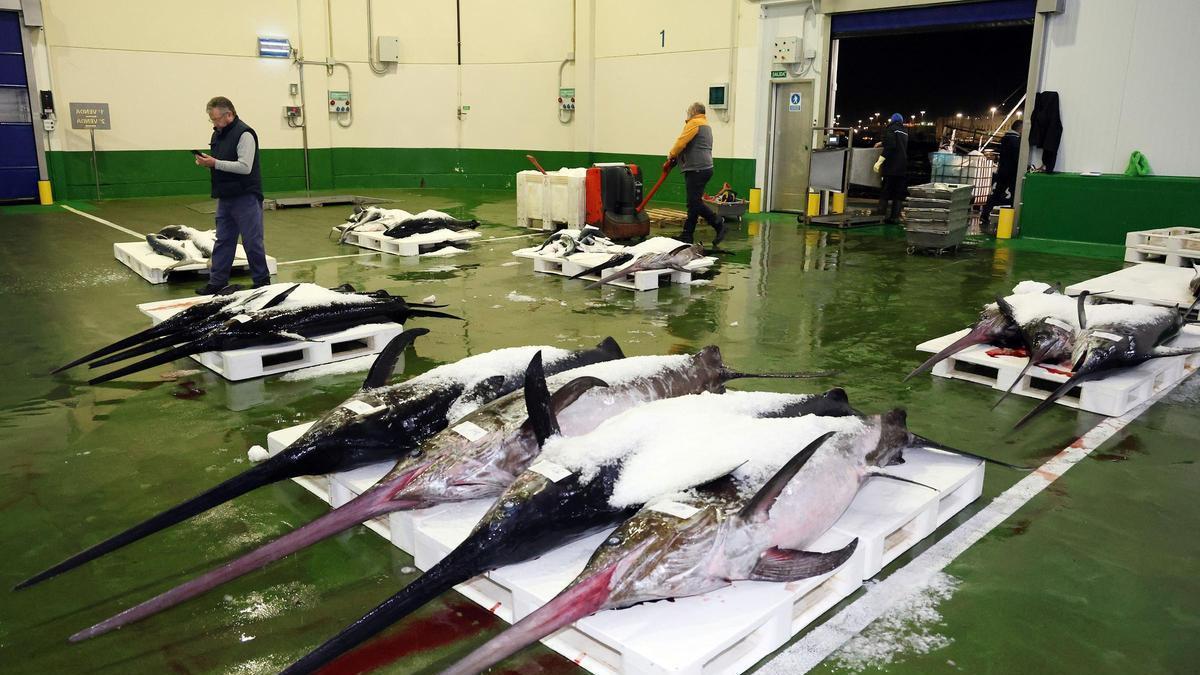 Descarga de pescado en la lonja del Berbés, en Vigo.