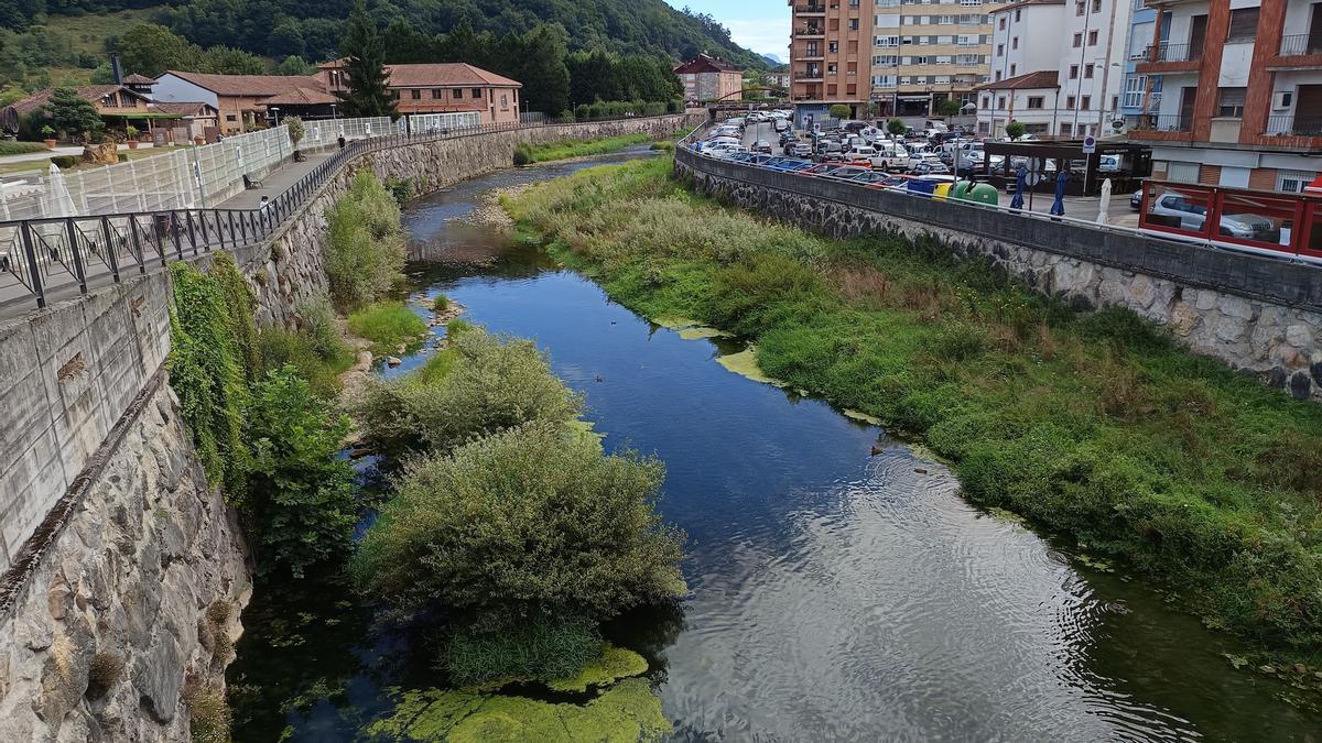 El Güeña, a su paso por Cangas de Onís.