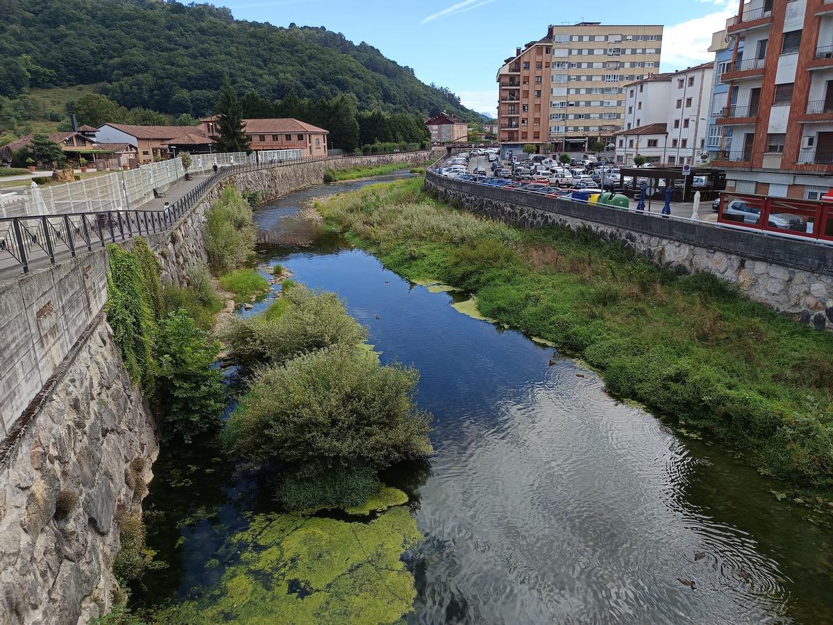 El Güeña, a su paso por Cangas de Onís.