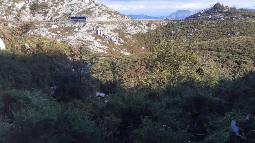Ganaderos denuncian la incesante toma de matorral de pastos y sendas en la zona de Los Lagos de Covadonga