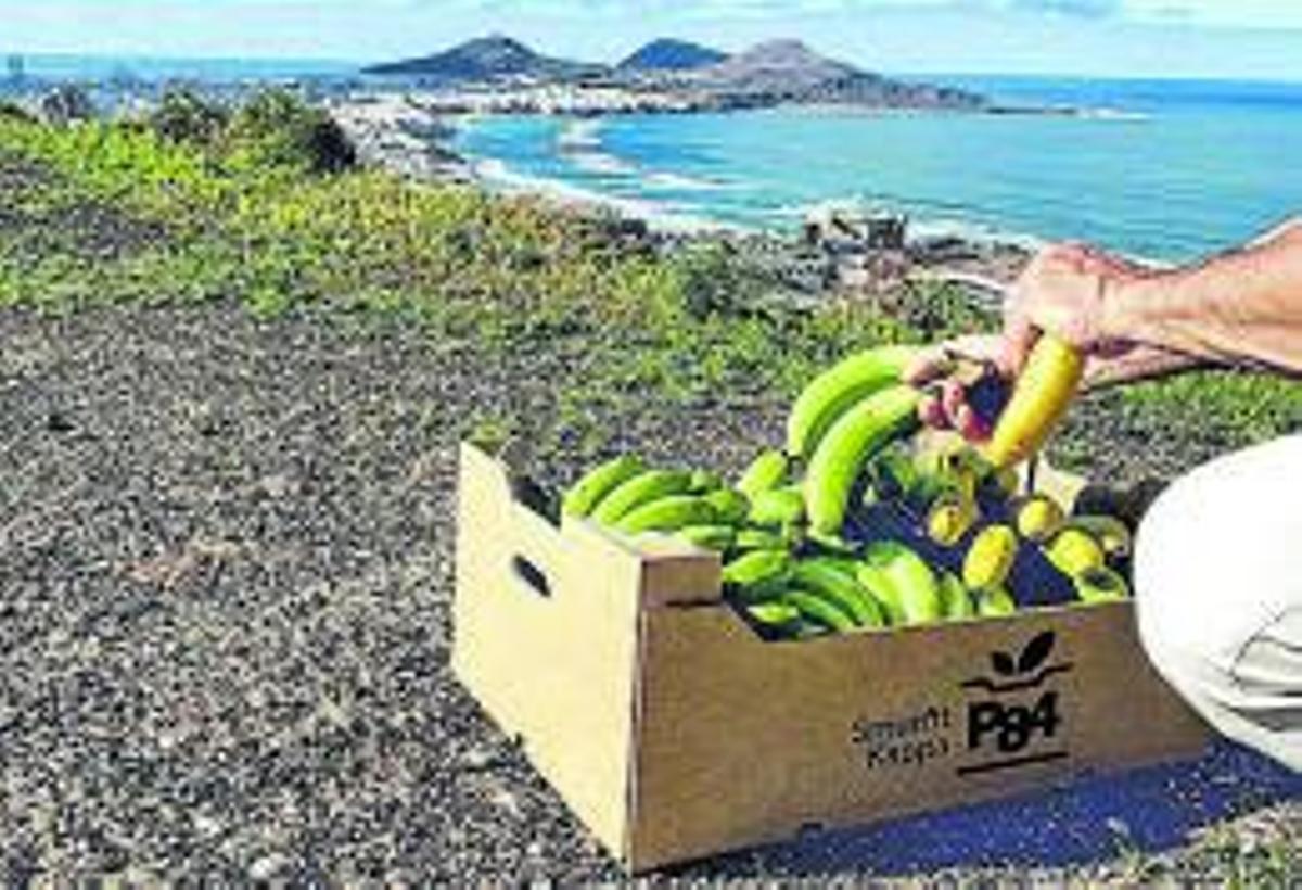 mejorando por y para canarias