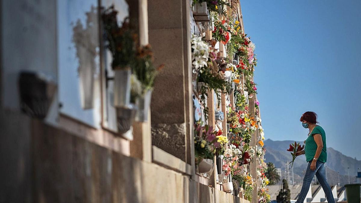 Cementerio de Santa Lastenia, en Santa Cruz de Tenerife.