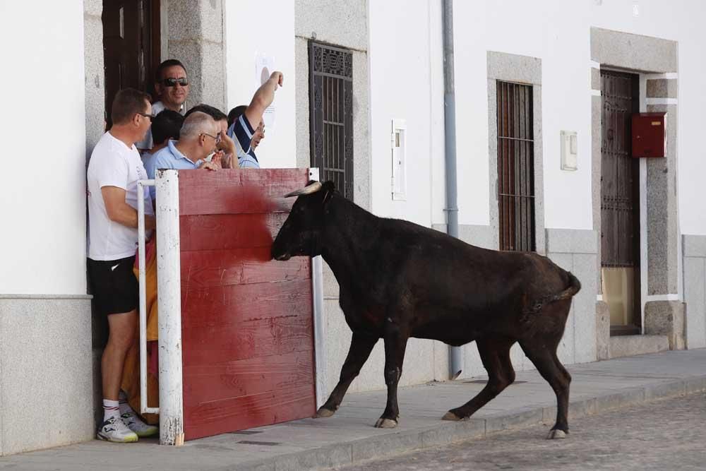 Encierros de Villanueva del Duque