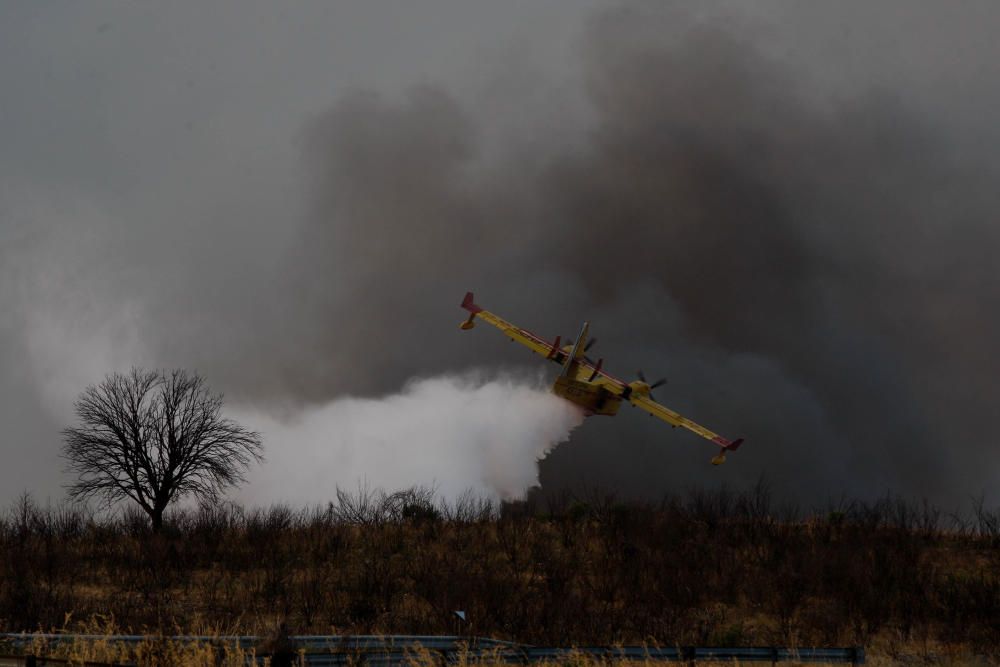 Incendio forestal Arribes