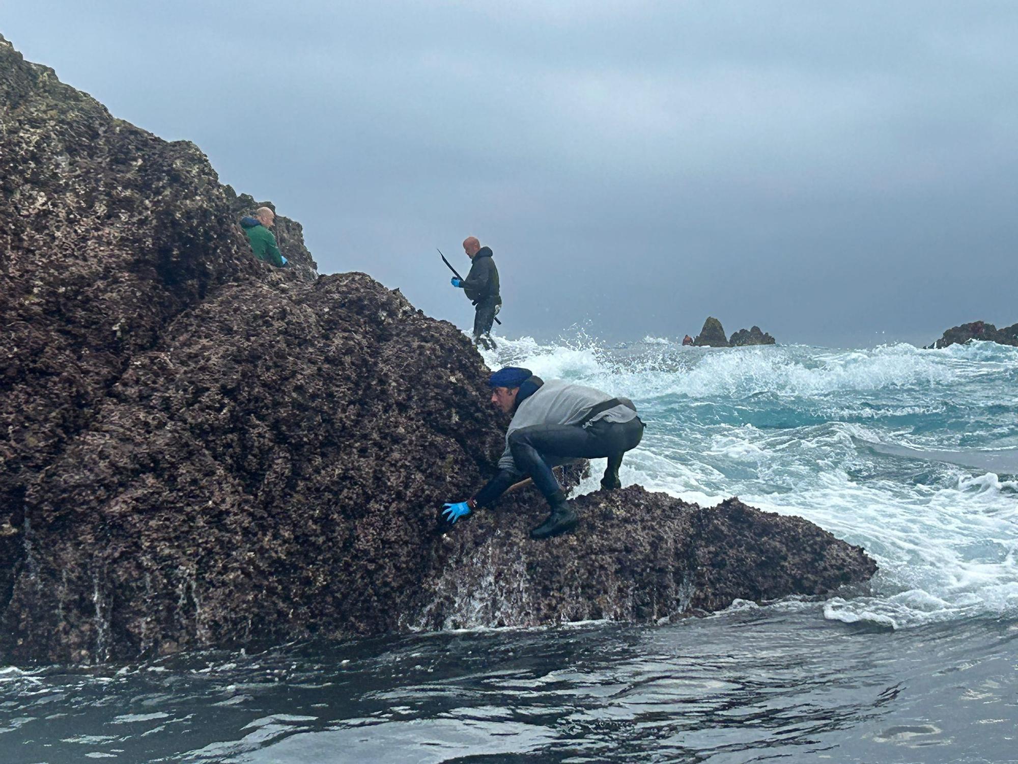 EN IMÁGENES: Así luchan los mariscadores de Luanco por cada kilo de percebe en el cabo Peñas