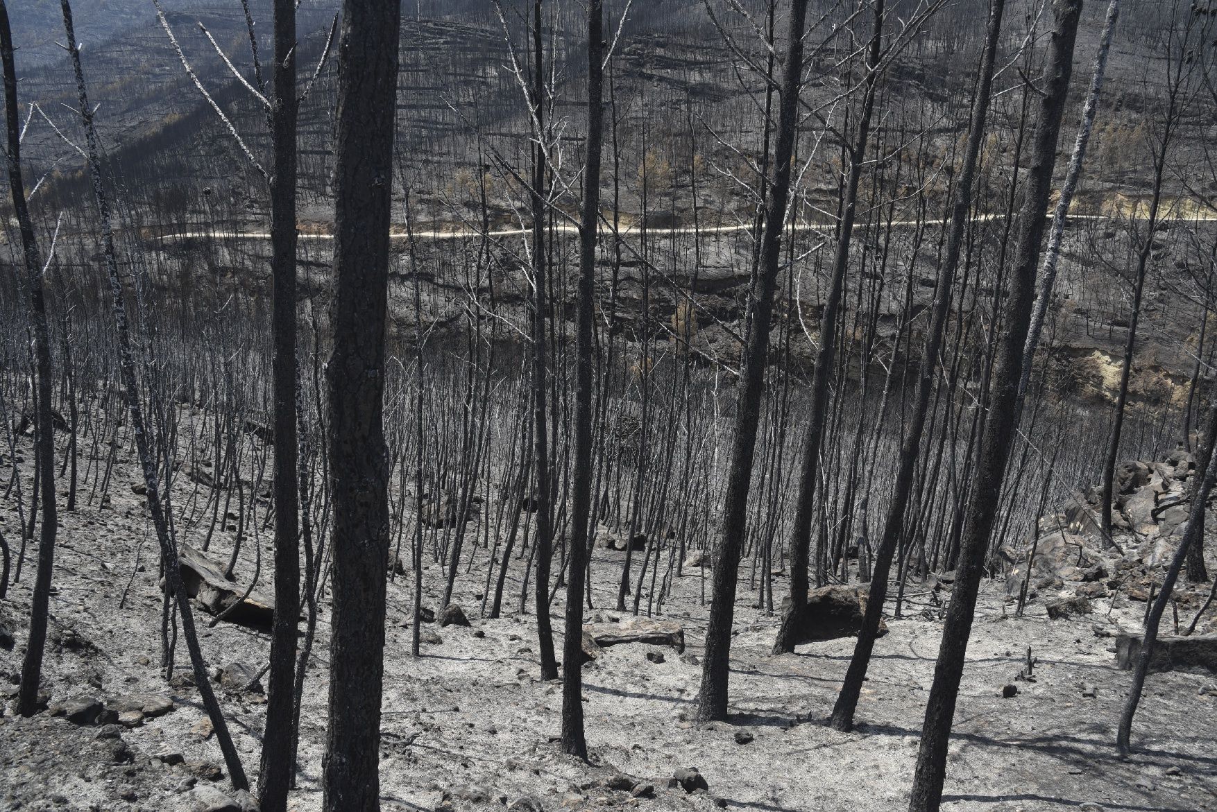 Així ha afectat el foc les tines de la Vall del Flequer