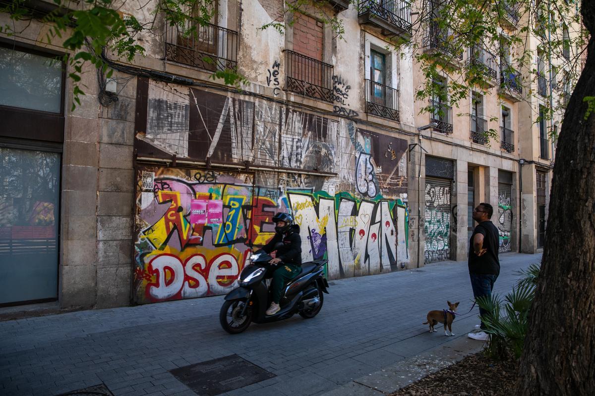 Las palomas toman un bloque abandonado en el casco antiguo de Barcelona