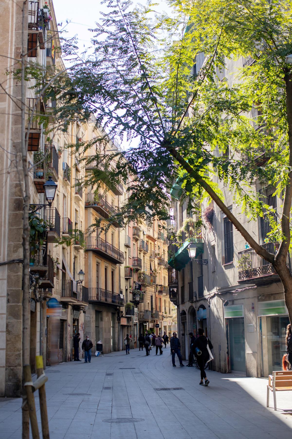 Casco antiguo en la ciudad de Barcelona