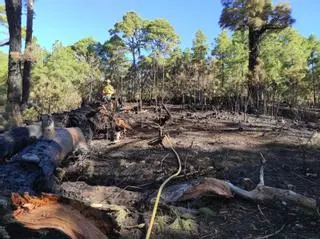 Estabilizado el incendio de El Hierro