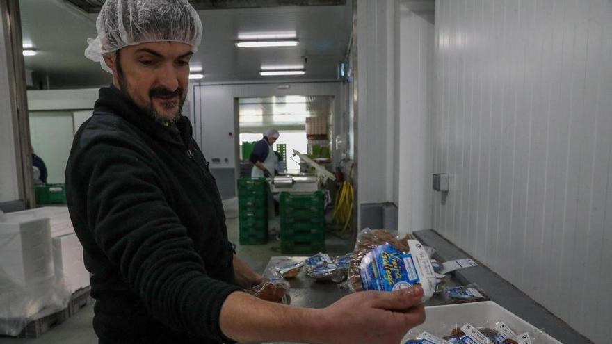Cambados asegura el suministro de vieira gallega hasta mayo a través de Cangas